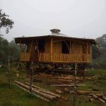 Finishing the Siding